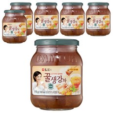 담터 꿀생강차, 770g, 1개입, 6개