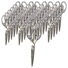 DAIHO 本色原品(中)不鏽鋼剪刀，高品質, 24支