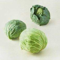 양배추 국내산, 8kg, 1개