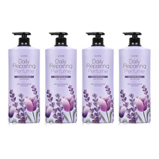 엘라스틴 데일리 퍼퓸 리페어링 샴푸 프렌치 라벤더향, 1.1L, 4개