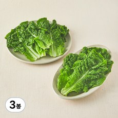 국내산 친환경 청상추, 150g, 3봉