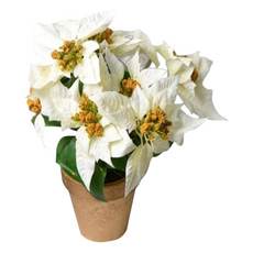 Meric Garden 高仿真 台灣手工限定雪白聖誕紅小盆栽, 1個, 白色