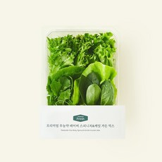프리미엄 무농약 베이비 스피니치&케일 가든 믹스, 150g, 1개입, 1개