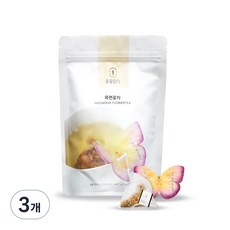 꽃을담다 나비티백 목련꽃차, 500mg, 10개입, 3개