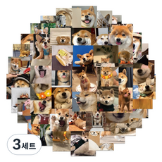 예스몰 귀여운 강아지 팬시 스티커 55종 세트 HT103, 랜덤발송, 3세트