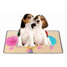 디키포펫 유리엘라 노즈워크 담요 100 x 60 cm, 혼합색상, 1개