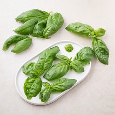 국내산 바질, 1개, 20g