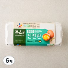 씨제이 무항생제 인증 목초 1등급 신선란 520g, 10구, 6개