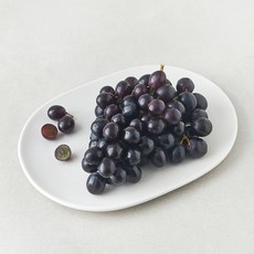 곰곰 칠레산 블랙포도, 450g, 1개