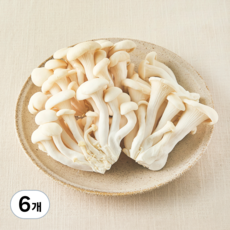 친환경 백색느타리버섯, 300g, 6개