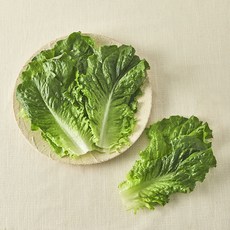 친환경 한끼 청상추, 80g, 1개