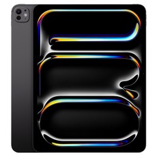 Apple 2025 아이패드 프로 13(M5 모델) 스탠다드 글래스, 스페이스 블랙, 1TB, Wi-Fi+Cellular