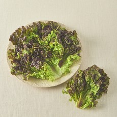 친환경 한끼 적상추, 80g, 1개