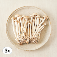 친환경 길게 키운 갈색 만가닥버섯, 150g, 3개