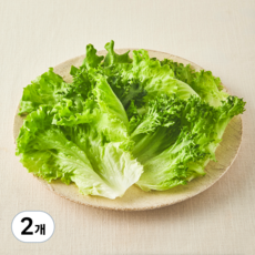 무농약 스마트팜 소프트믹스 샐러드 채소, 100g, 2개, 1개입