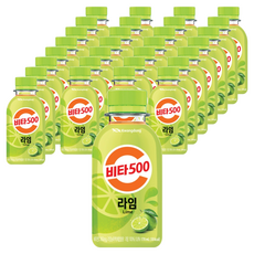 광동제약 비타500 라임 비타민음료, 170ml, 48개