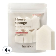 Hanskin 房屋造型海綿 6入, 單一顏色, 4個