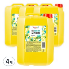 탐사 상큼한 레몬 주방세제, 14kg, 4개