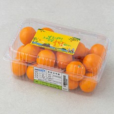 귤탐 당도선별 11brix 감귤, 1.2kg(꼬마과), 1개