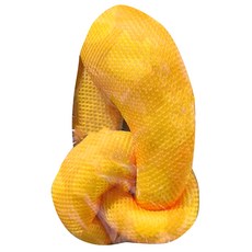 紓壓結 l, 1個, 1個, 粉黃色