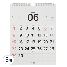 ICL 2026 壁掛式線圈日曆, 3個, 混合顏色