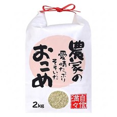 Well Life 悅生活 谷穗 特A級新潟縣高營養補給糙米 100%日本直送, 2kg, 1包