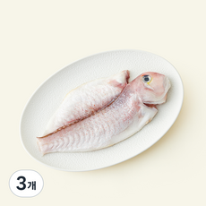 피쉬온탑 손질 제주 생물 옥돔 (냉장), 3개, 160g