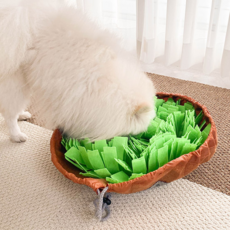 DING DONG PET 狗狗口袋花朵嗅聞墊 40cm, 綠色, 1個