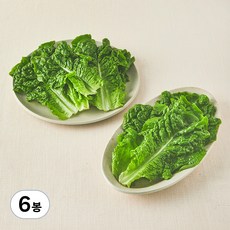 국내산 친환경 청상추, 150g, 6봉