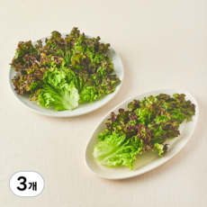 국내산 친환경 적상추, 150g, 3개