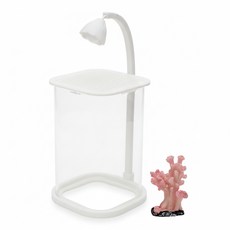 水幻奇境 桌面創意鬥魚缸, 白色 + 透明, 1組