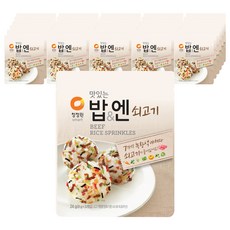 청정원 맛있는 밥&엔 쇠고기, 24g, 40개