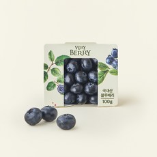 국내산 유레카 블루베리 특, 1개, 100g