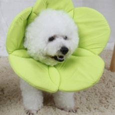 Dream For Pet Agnes 寵物頭套 A05 M, 1個