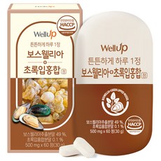RAWEL 綠唇貽貝乳香錠 30g, 60顆, 1盒