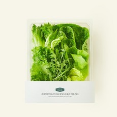 프리미엄 무농약 더블 와일드루꼴라 가든 믹스, 120g, 1개입, 1개