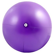 MICHAEL FITNESS 麥克健身 瑜珈球 附針管吹嘴 3個, 紫色, 1組