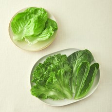 그린래빗 무농약 인증 유러피안 트리플믹스 샐러드, 100g, 1개