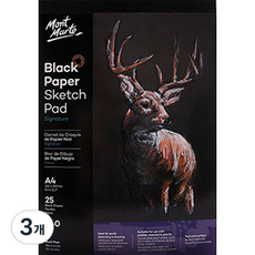 벨리안 전문가용 블랙페이퍼 패드, 75개