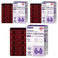 동화약품 아이오딘 요오드 2400 영양제 기능성 갑상선 호르몬 합성에 필요 30g, 3개, 60정