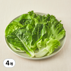 무농약 인증 스마트팜 트리플믹스 샐러드 채소, 100g, 4개, 1개입