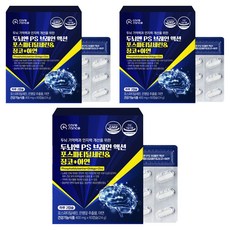 케어란스 두뇌엔 PS 브레인 액션 포스파티딜세린 징코 아연 24g, 3개, 60정