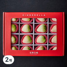 홍과옥조 GAP 인증 신데렐라 딸기 선물세트, 400g(16입), 2개