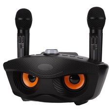 SDRD 可攜式KTV音箱 SD-306 輸出功率10W+10W