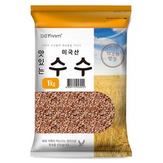 건강한밥상 맛있는 수수, 1kg, 1개
