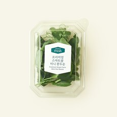 프리미엄 스마트팜 미니 완두순, 1개, 10g