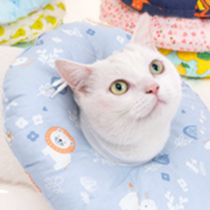 Dream For Pet Olivia寵物防舔咬頸圈 A02 M, 1個