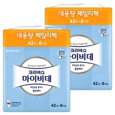 마이비데 클린케어 화장실용 비데티슈 휴대형, 55g, 42개입, 12개