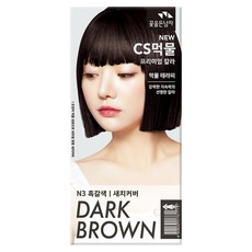 꽃을든남자 CS먹물 프리미엄 헤어 칼라크림 염모제, N3 흑갈색, 1개