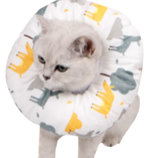 Dream For Pet Hazel寵物防舔圈 A02 L, 1個